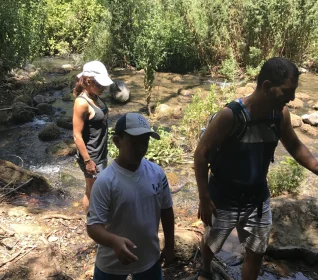 מרום גולן - תמונה מהגלריה