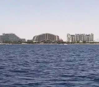וידאו מהגלריה